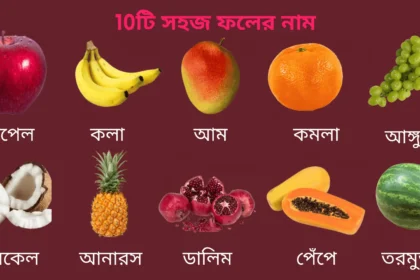 দশটি ফলের নাম